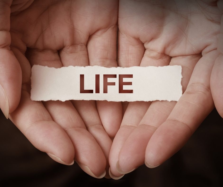 best term life insurance no medical exam